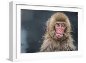 (aIa»)i¾i¾i¾i¾i¾-Takeshi Marumoto-Framed Photographic Print