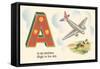 A is an Airplane-null-Framed Stretched Canvas