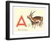 A is for Antelope-null-Framed Art Print