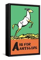 A is for Antelope-Charles Buckles Falls-Framed Stretched Canvas