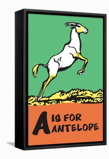 A is for Antelope-Charles Buckles Falls-Framed Stretched Canvas