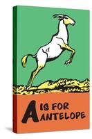 A is for Antelope-Charles Buckles Falls-Stretched Canvas