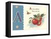 A is for Apple-null-Framed Stretched Canvas