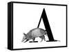 A is for Armadillo-Stacy Hsu-Framed Stretched Canvas