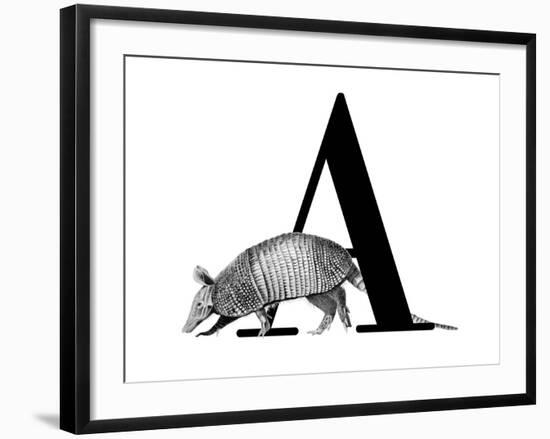 A is for Armadillo-Stacy Hsu-Framed Art Print