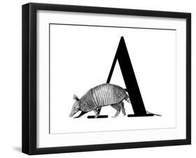 A is for Armadillo-Stacy Hsu-Framed Art Print