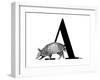 A is for Armadillo-Stacy Hsu-Framed Art Print