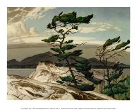 White Pine-A^ J^ Casson-Mounted Art Print