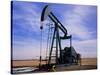 A Jack Pump Used for Oil Extraction-David Parker-Stretched Canvas