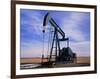 A Jack Pump Used for Oil Extraction-David Parker-Framed Photographic Print