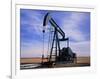 A Jack Pump Used for Oil Extraction-David Parker-Framed Photographic Print