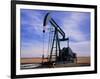 A Jack Pump Used for Oil Extraction-David Parker-Framed Photographic Print