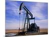 A Jack Pump Used for Oil Extraction-David Parker-Mounted Photographic Print