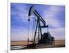 A Jack Pump Used for Oil Extraction-David Parker-Framed Photographic Print