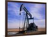 A Jack Pump Used for Oil Extraction-David Parker-Framed Photographic Print