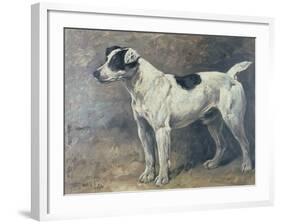 A Jack Russell, 1891-John Emms-Framed Giclee Print