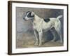 A Jack Russell, 1891-John Emms-Framed Giclee Print