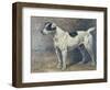 A Jack Russell, 1891-John Emms-Framed Giclee Print