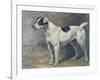 A Jack Russell, 1891-John Emms-Framed Giclee Print