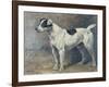 A Jack Russell, 1891-John Emms-Framed Giclee Print