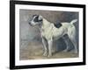 A Jack Russell, 1891-John Emms-Framed Giclee Print