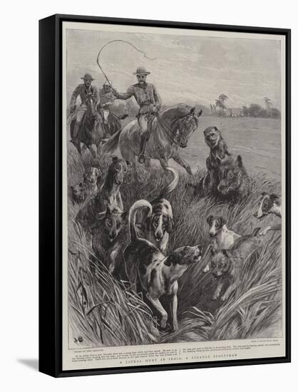 A Jackal Hunt in India, a Strange Sportsman-John Charlton-Framed Stretched Canvas