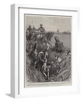 A Jackal Hunt in India, a Strange Sportsman-John Charlton-Framed Giclee Print