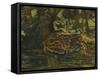 'A Jaguar', c1900-John MacAllan Swan-Framed Stretched Canvas