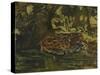 'A Jaguar', c1900-John MacAllan Swan-Stretched Canvas