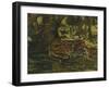'A Jaguar', c1900-John MacAllan Swan-Framed Giclee Print