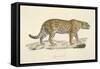 A Jaguar-Werner-Framed Stretched Canvas