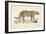 A Jaguar-Werner-Framed Giclee Print