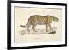 A Jaguar-Werner-Framed Giclee Print