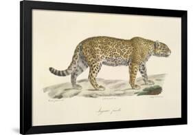 A Jaguar-Werner-Framed Giclee Print