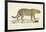 A Jaguar-Werner-Framed Giclee Print