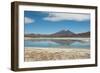 A James Flamingo Wades Along the Edge of Laguna Capina-Alex Saberi-Framed Photographic Print