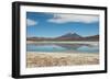 A James Flamingo Wades Along the Edge of Laguna Capina-Alex Saberi-Framed Photographic Print