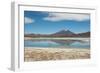 A James Flamingo Wades Along the Edge of Laguna Capina-Alex Saberi-Framed Photographic Print