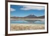 A James Flamingo Wades Along the Edge of Laguna Capina-Alex Saberi-Framed Photographic Print