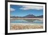 A James Flamingo Wades Along the Edge of Laguna Capina-Alex Saberi-Framed Photographic Print