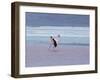 A James' Flamingos Stretches its Legs in the Laguna Colorada-Alex Saberi-Framed Photographic Print