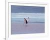 A James' Flamingos Stretches its Legs in the Laguna Colorada-Alex Saberi-Framed Photographic Print