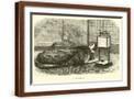 Brown Frame