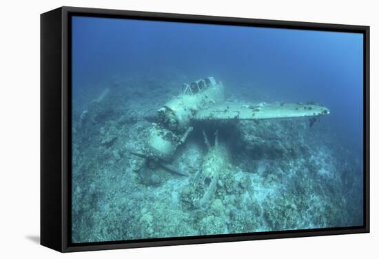 A Japanese Jake Seaplane on the Seafloor of Palau's Lagoon-Stocktrek Images-Framed Stretched Canvas