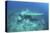 A Japanese Jake Seaplane on the Seafloor of Palau's Lagoon-Stocktrek Images-Stretched Canvas