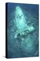 A Japanese Jake Seaplane on the Seafloor of Palau's Lagoon-Stocktrek Images-Stretched Canvas