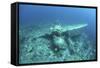 A Japanese Jake Seaplane on the Seafloor of Palau's Lagoon-Stocktrek Images-Framed Stretched Canvas