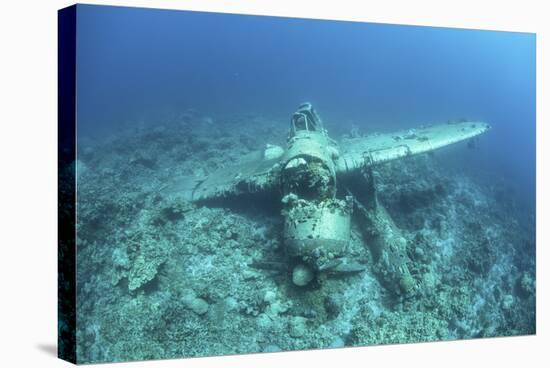 A Japanese Jake Seaplane on the Seafloor of Palau's Lagoon-Stocktrek Images-Stretched Canvas