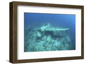 A Japanese Jake Seaplane on the Seafloor of Palau's Lagoon-Stocktrek Images-Framed Photographic Print