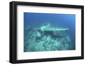 A Japanese Jake Seaplane on the Seafloor of Palau's Lagoon-Stocktrek Images-Framed Photographic Print